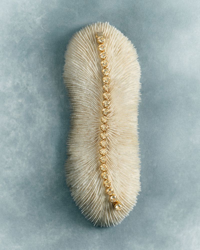 A delicate gold and crystal tennis bracelet lies vertically on top of a textured, white, fan-shaped piece of sea coral.