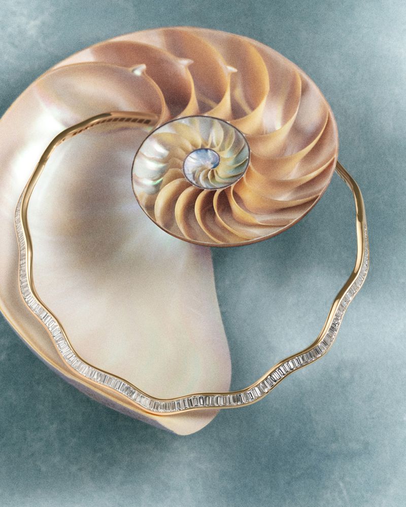 A wavy gold and diamond necklace draped gracefully over a cross section of an iridescent spiral nautilus shell on a soft blue surface.
