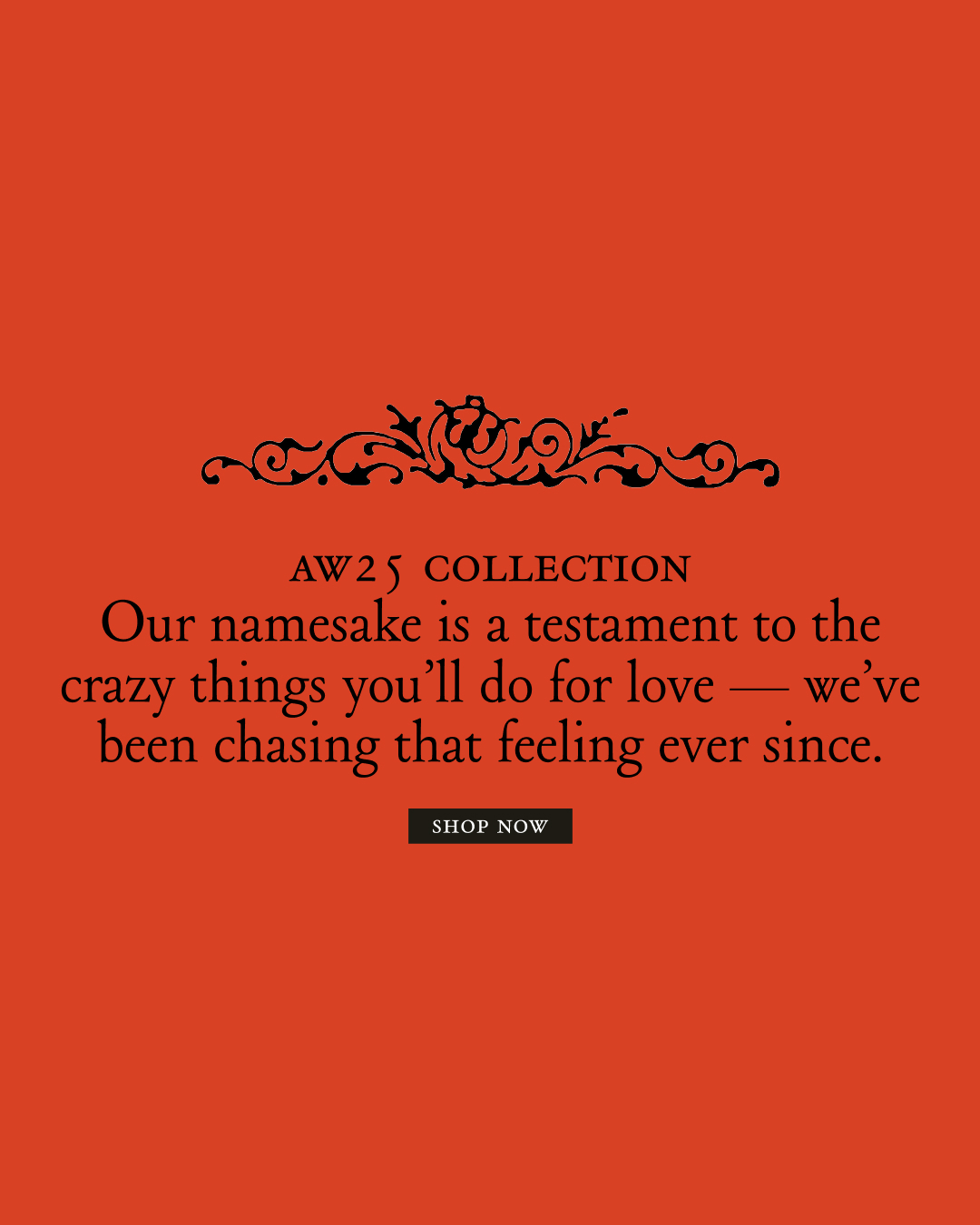 Black serif typography and an ornamental filigree vignette with a Shop Now button displayed against a solid rust-orange background.
