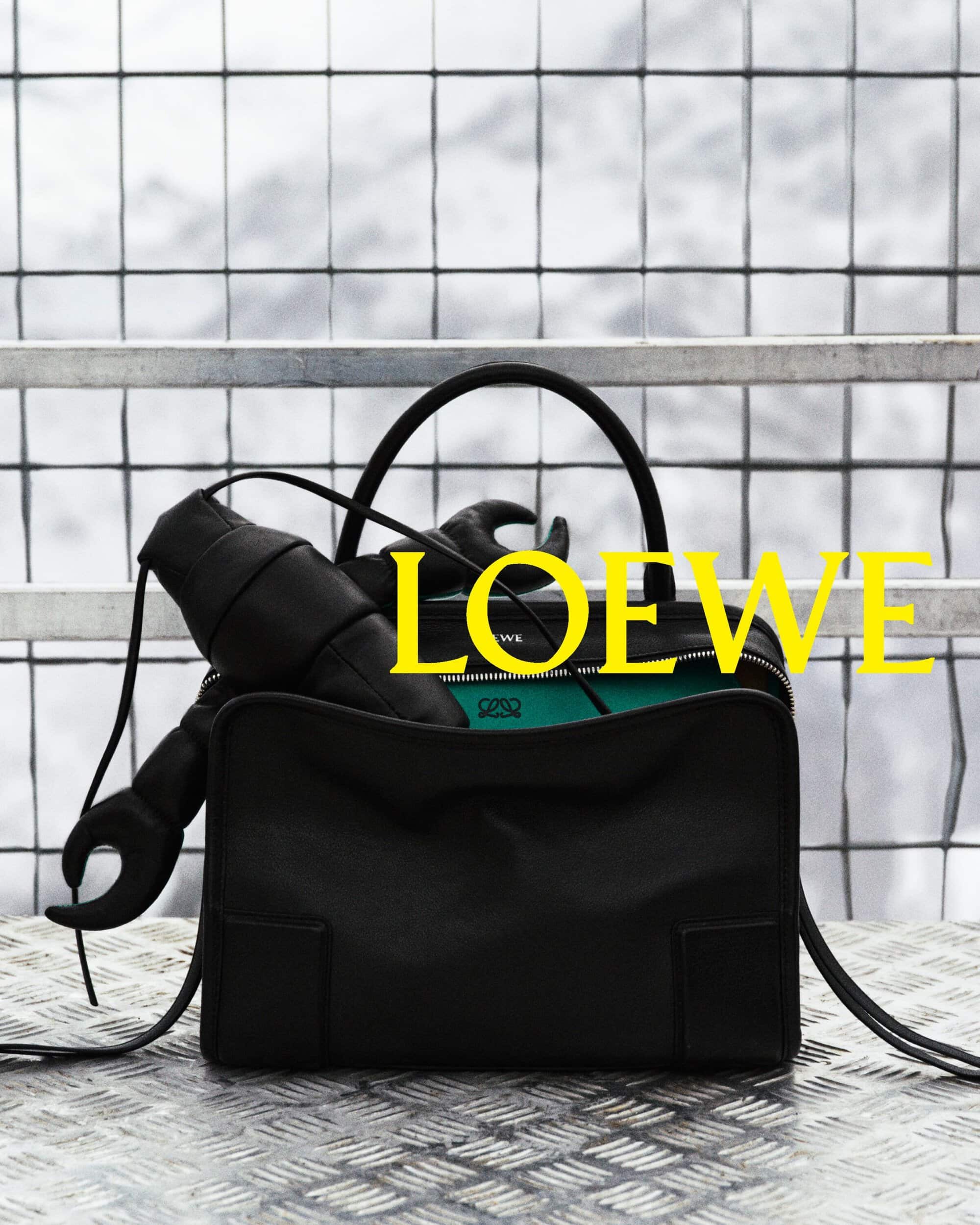 Black Loewe leather handbag with a black leather crustacean charm on a metal grate against a wire fence and snowy mountains.