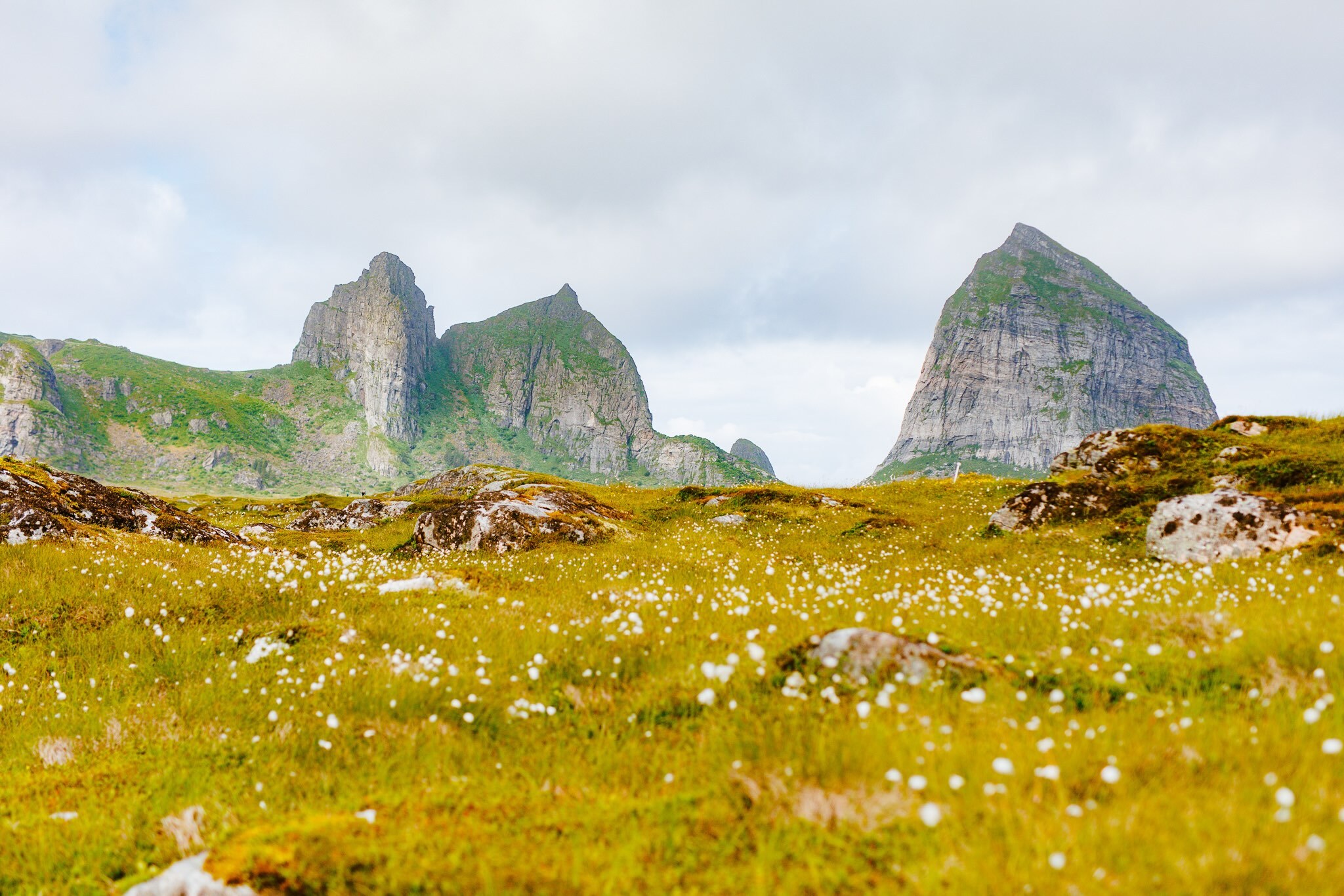 A wide mountain landscape featuring rocky peaks rising behind a field of green grass dotted with small white wild flowers.