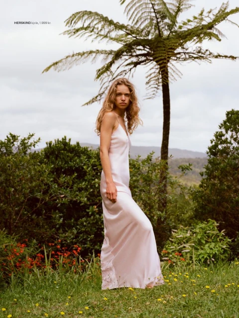 New Zealand by Avery Swail