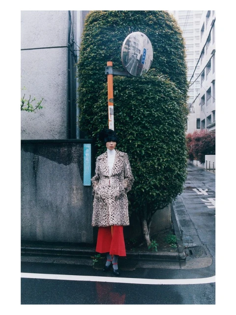 Japan Is A Paradox
