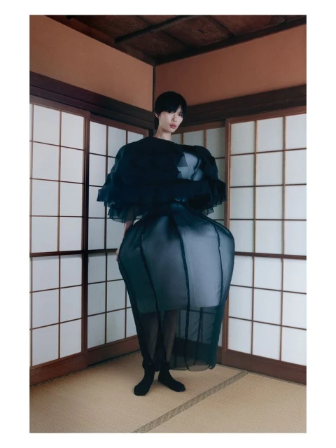 Japan Is A Paradox