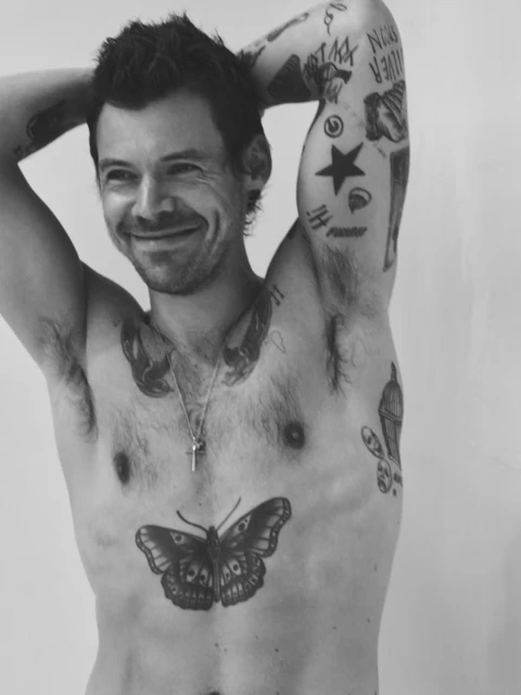 Harry Styles