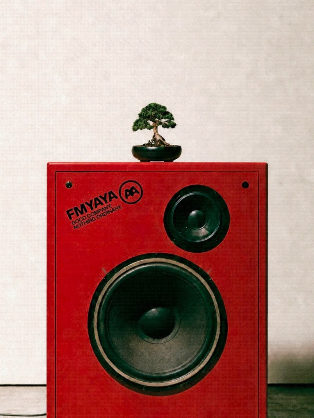 A miniature bonsai tree resting on top of a large red vintage audio speaker cabinet against a neutral wall.