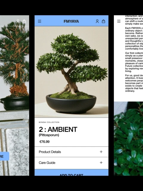 Brand Identity
