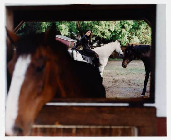 Model Lisa Wu seated on a white horse framed through a wooden stable window with a brown horse in the foreground.