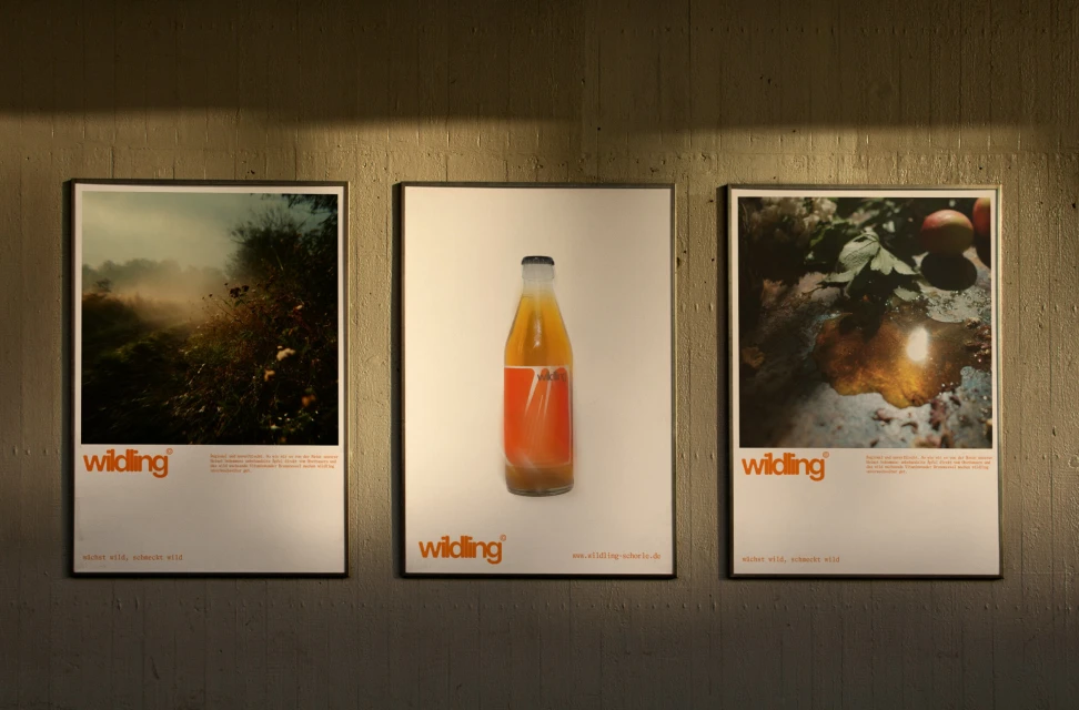 Brand Identity
