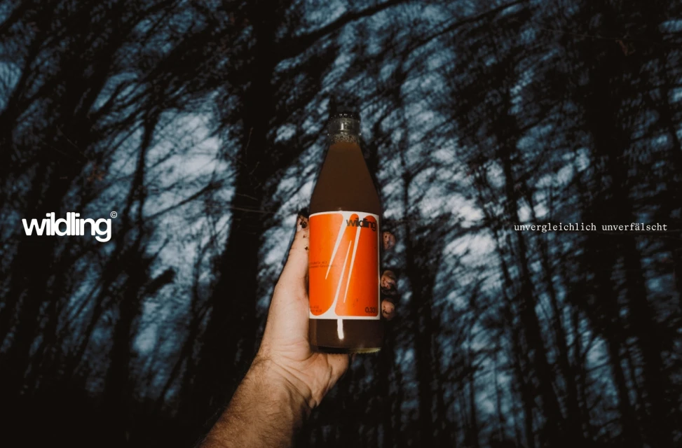 Brand Identity