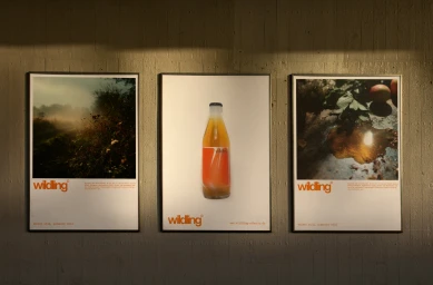 Three framed posters for Wildling beverage hanging in a row on a concrete wall under warm directional lighting.