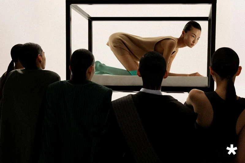 Body as Asset
