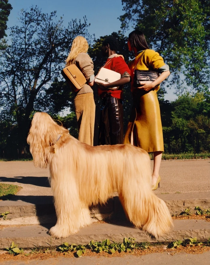 Three models with handbags standing behind a large blonde Afghan hound dog outdoors in a park.