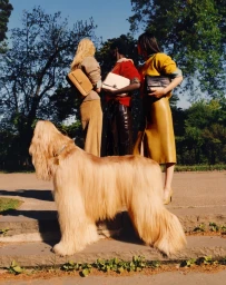 Three models with handbags standing behind a large blonde Afghan hound dog outdoors in a park.