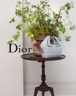 Light blue quilted Dior handbag resting on a dark wooden accent table below a potted green plant.