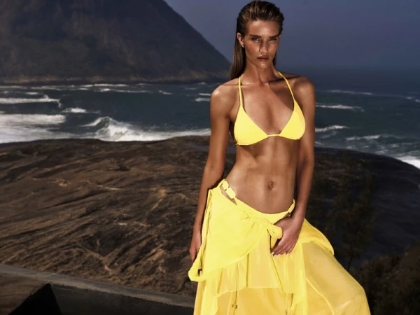 ViX Paula Hermanny x Rosie Huntington-Whiteley Edition II