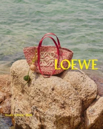 Loewe woven straw basket bag resting on a large coastal rock with ocean water in the background
