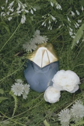 Orebella perfume bottle nestled among green grass and white wildflowers in the Jasmine Blues campaign.