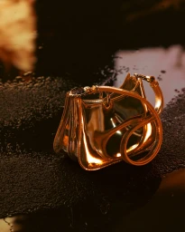 Metallic gold designer handbag resting on a dark reflective surface for the Rabanne Fall-Winter 2025 campaign.