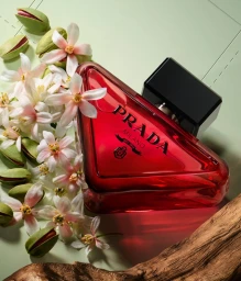 Prada perfume bottle with red liquid and black cap surrounded by white flowers and pistachio pods on a pale green surface.
