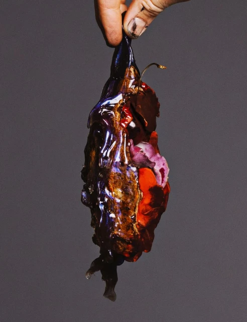 Comme des Garcons
