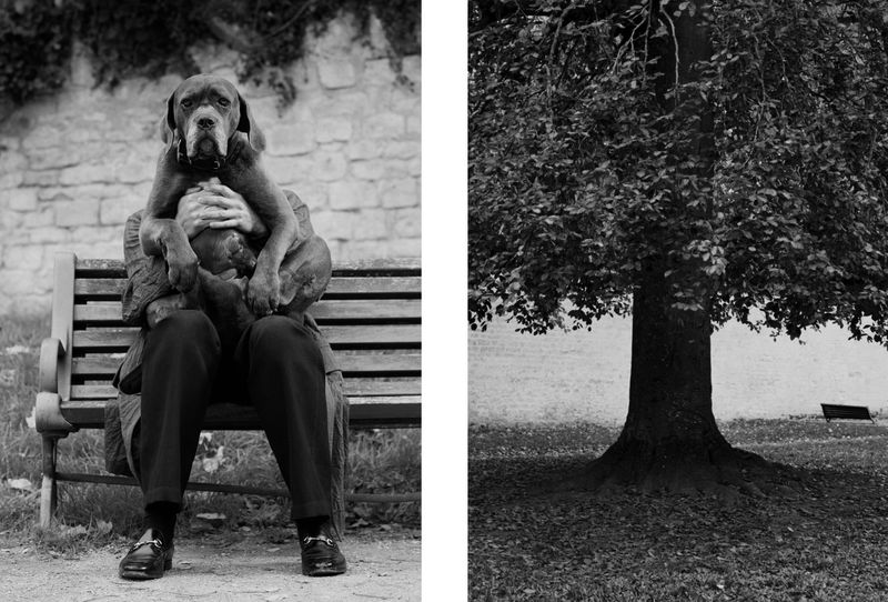 Monochromatic portrait of a mature adult and large dog on a park bench, creating an evocative and timeless feel with natural light.