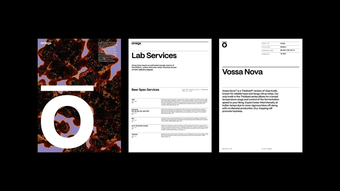 Brand Identity