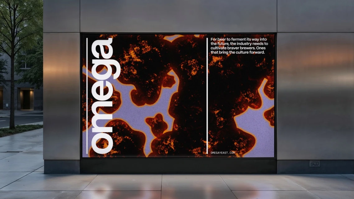 Brand Identity