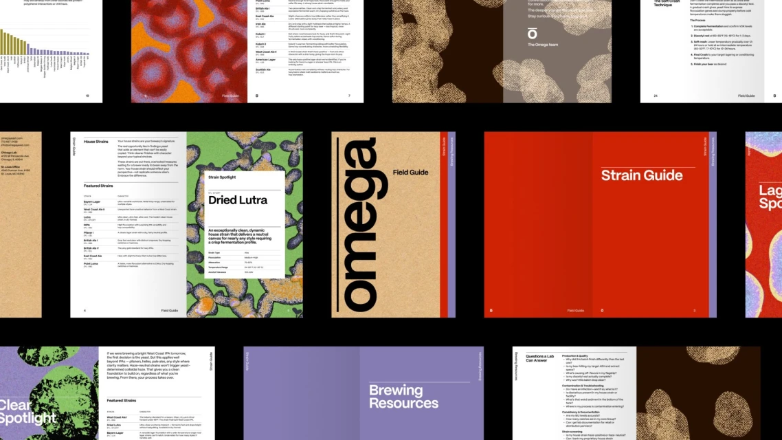 Brand Identity