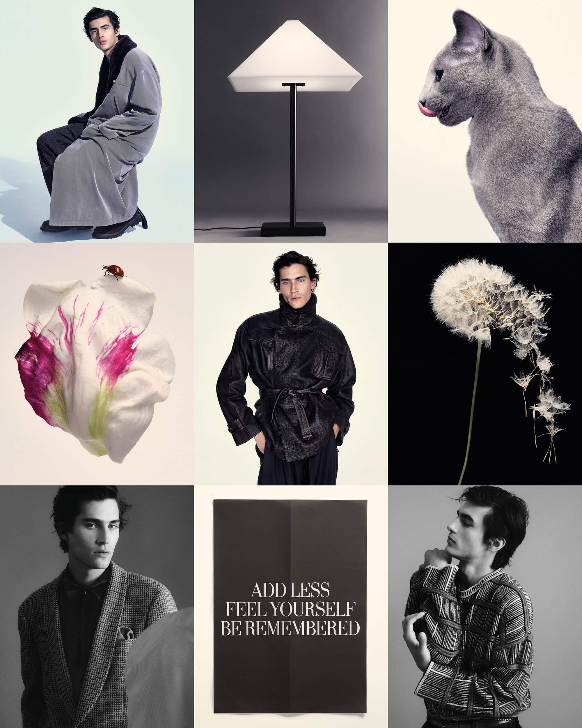 Nine-panel moodboard grid featuring male model portraits in Giorgio Armani apparel, flora, a cat, modern lamp, and campaign typography.