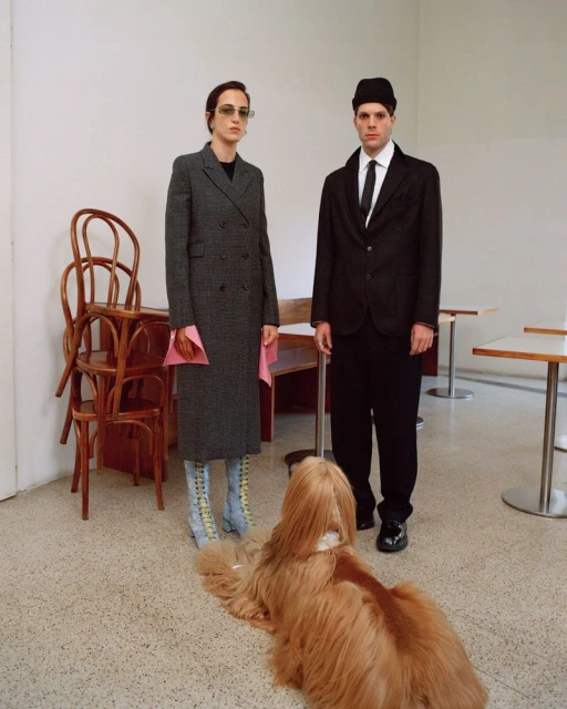 Dogue