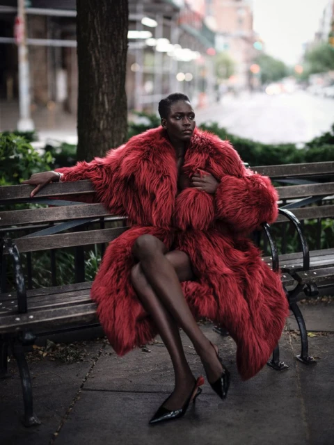 Faces of Fashion