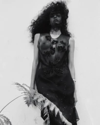Model with voluminous dark hair wearing a sheer black floral-embroidered dress leaning against a wall behind fern leaves.