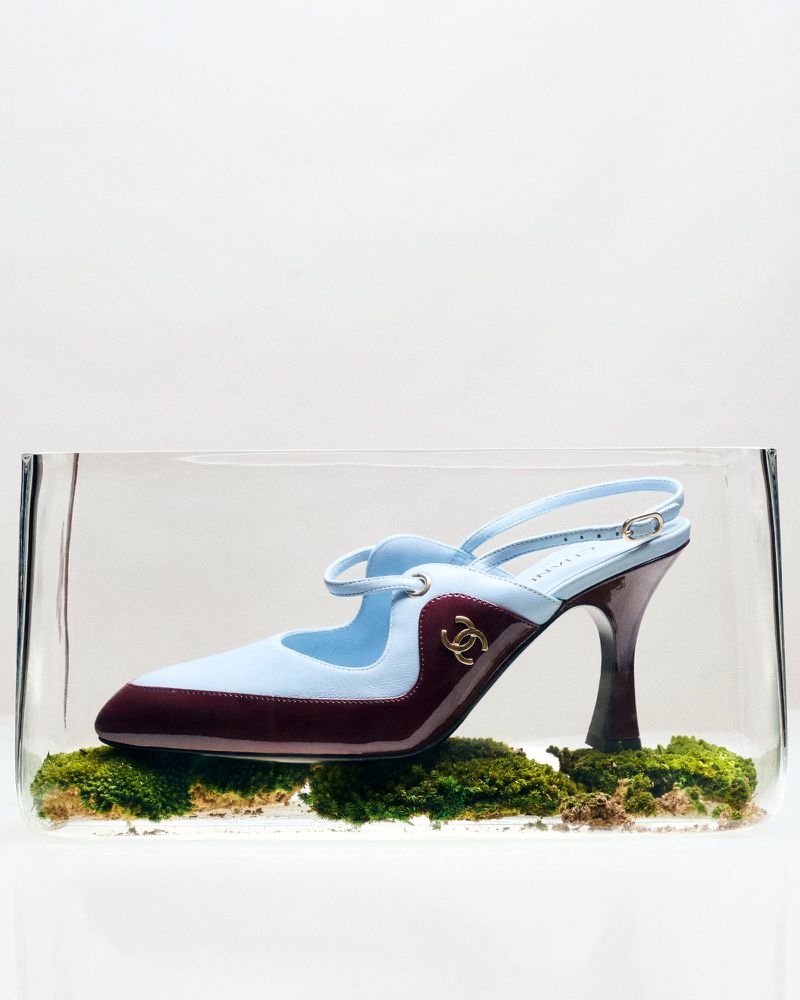 Light blue and burgundy slingback heel resting on green moss inside a clear glass box against a white background.