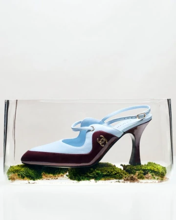 Light blue and burgundy slingback heel resting on green moss inside a clear glass box against a white background.