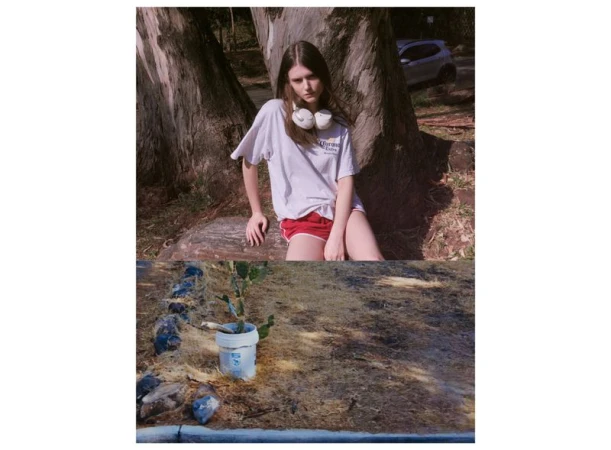 Diptych with a young woman wearing a white t-shirt and red shorts sitting by a tree, above a potted cactus in a white bucket.