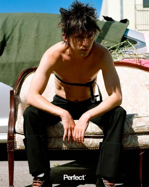 Troye Sivan