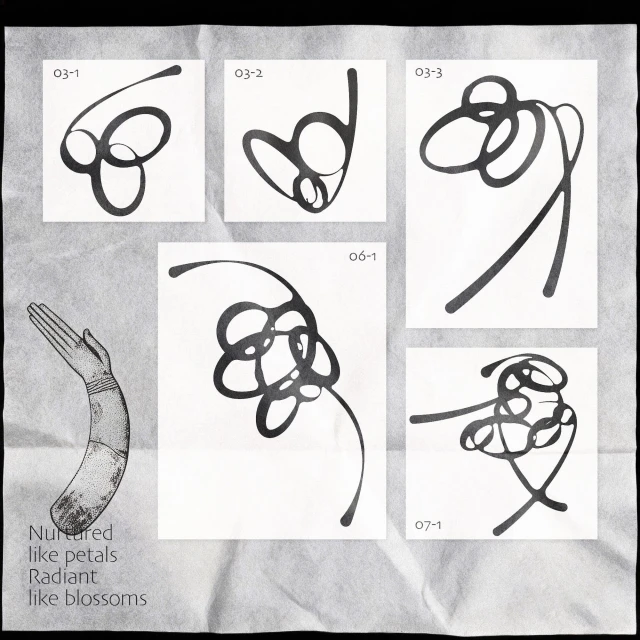 Brand Identity