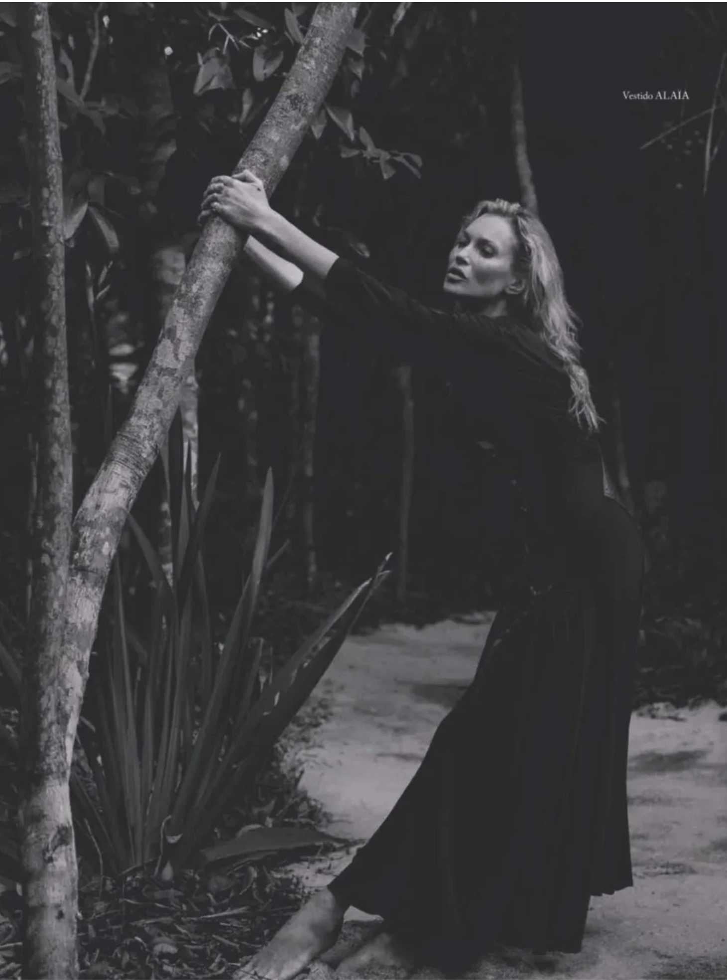 Kate Moss wearing a long black dress while leaning against a tree trunk in an outdoor wooded setting in black and white.