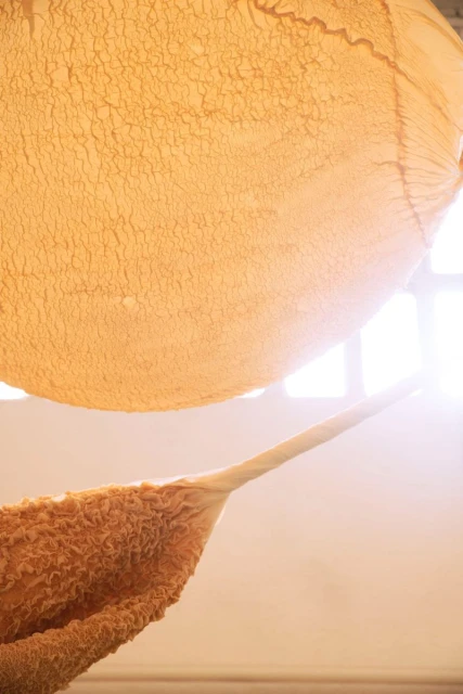 Abstract sculpture featuring porous surfaces and organic form in a warm palette with a window letting in natural light in the background.