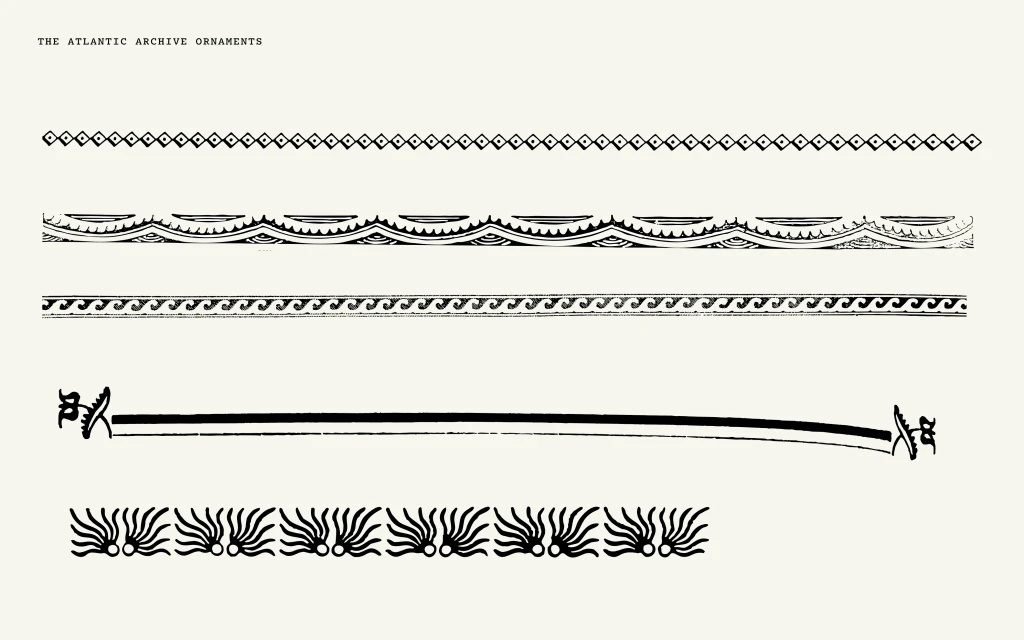Brand Identity