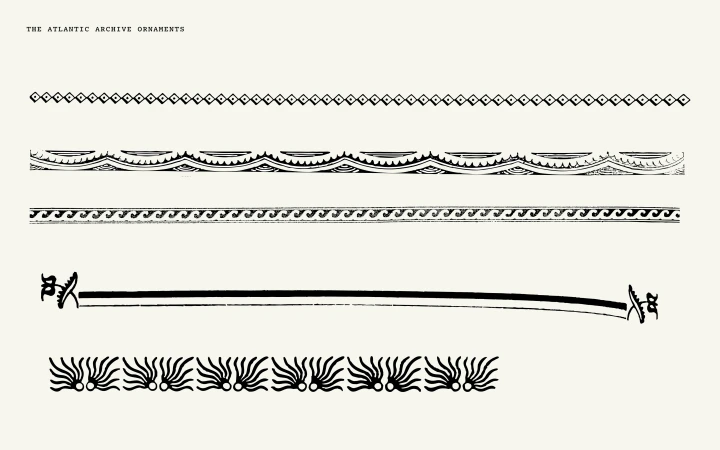 Brand Identity