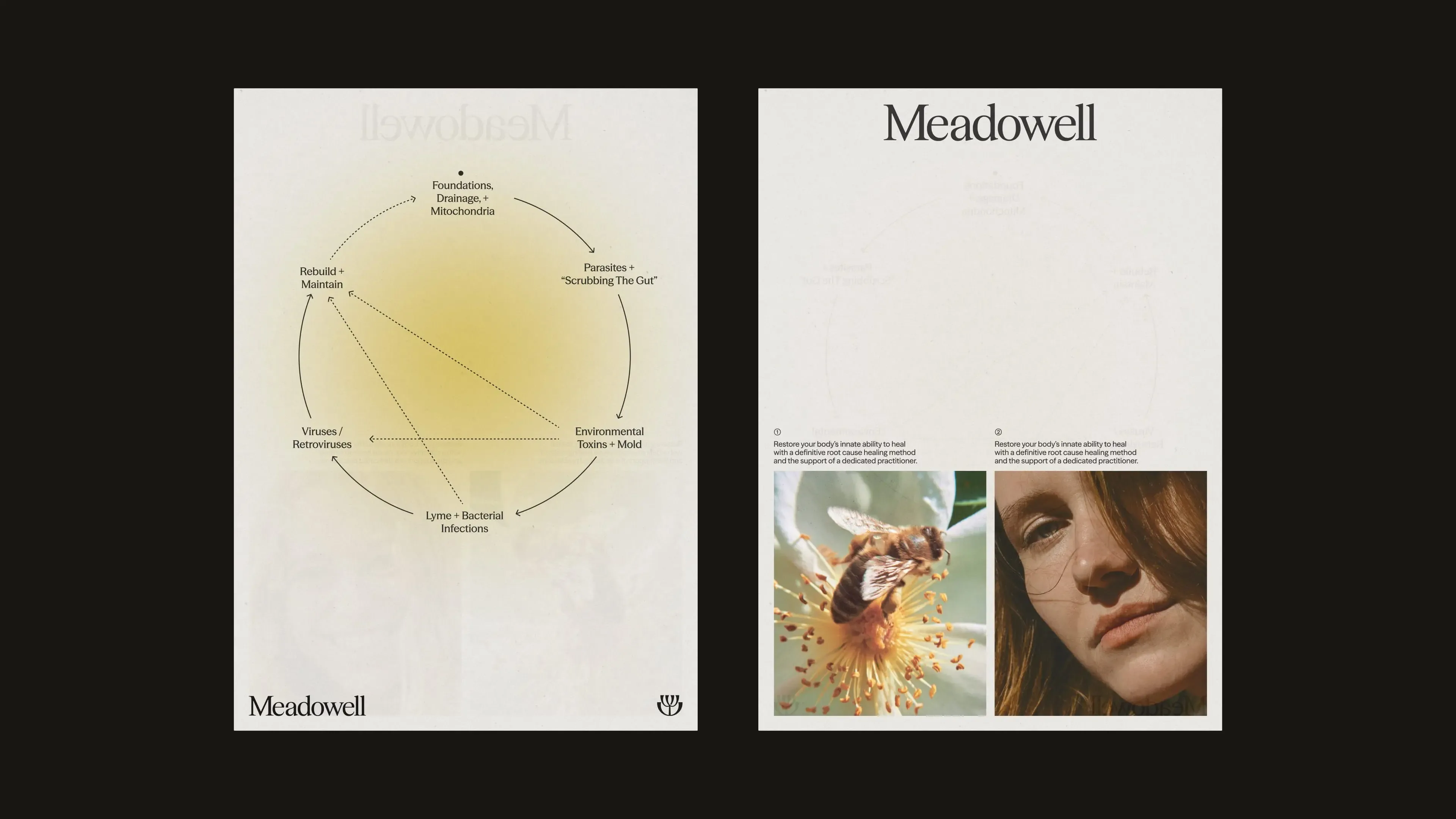 Meadowell brand identity presentation featuring a circular health diagram layout and photography of a bee on a flower and a woman's face.