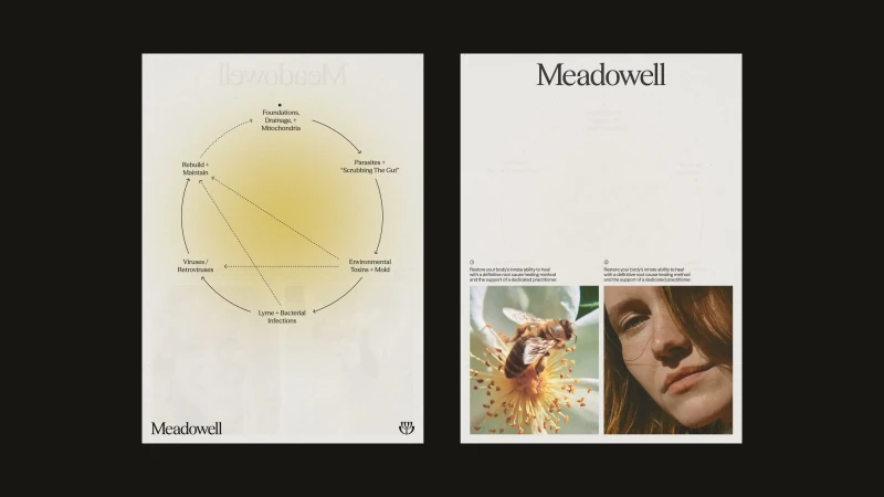 Meadowell brand identity presentation featuring a circular health diagram layout and photography of a bee on a flower and a woman's face.