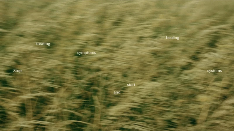 Motion blurred view of a grassy meadow swaying in the wind with scattered white typographic words overlaying the field