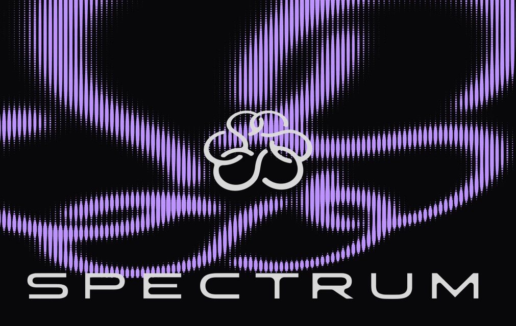 Brand Identity