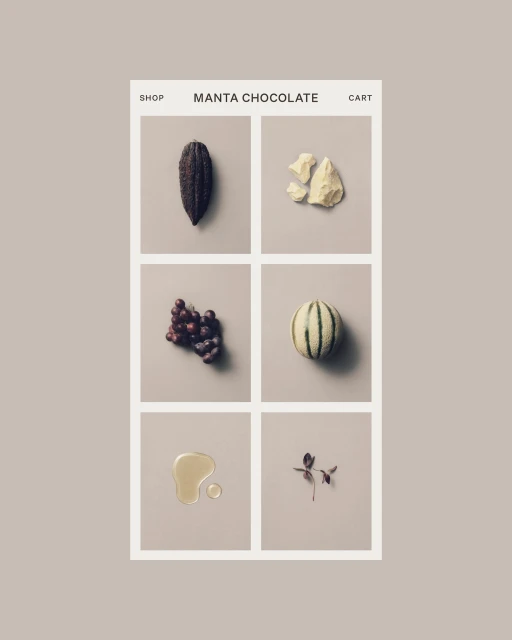 Brand Identity