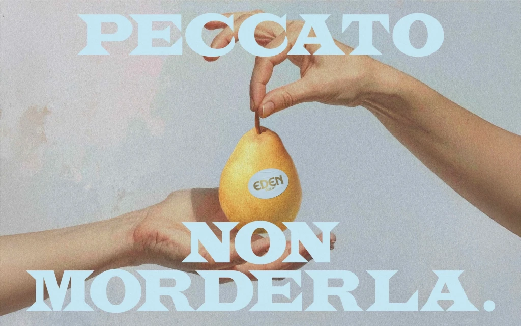 Brand Identity