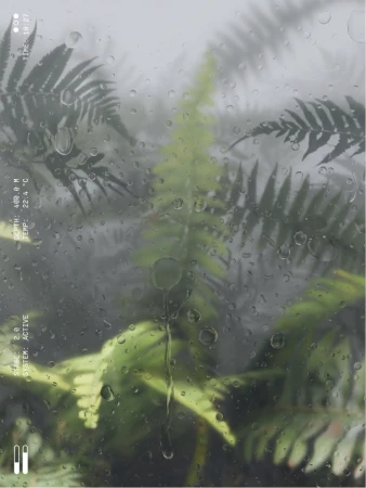 Close-up of green fern fronds viewed through a wet glass window covered in water droplets with overlaid digital HUD interface data.