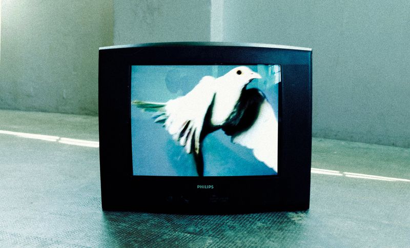 An old black CRT television displaying an image of a white dove with wings spread, set against a concrete floor.